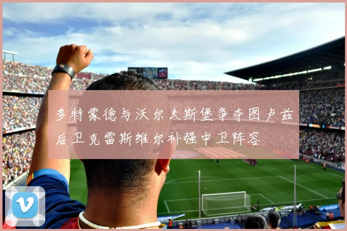 多特蒙德与沃尔夫斯堡争夺图卢兹后卫克雷斯维尔补强中卫阵容