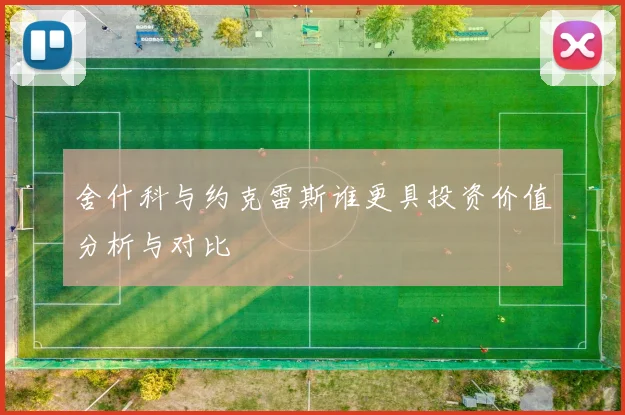 舍什科与约克雷斯谁更具投资价值分析与对比