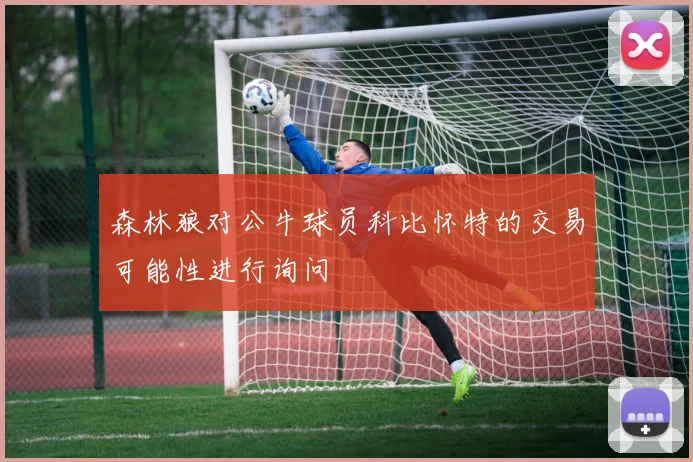 森林狼对公牛球员科比怀特的交易可能性进行询问